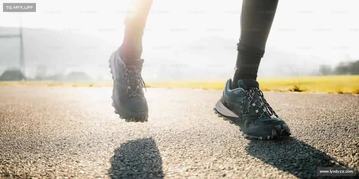 mksport体育——🏀激情碰撞,球场称王!🏆